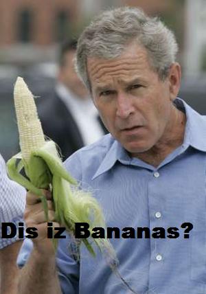 Banana + chimp