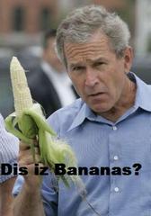 Banana + chimp